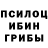 Галлюциногенные грибы Cubensis Aziz Cabbarov