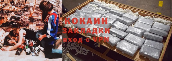 индика Алексеевка