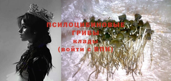 индика Алексеевка